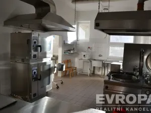 Prodej ubytování, Žihle - Nový Dvůr, Nový Dvůr, 8175 m2