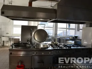 Prodej ubytování, Žihle - Nový Dvůr, Nový Dvůr, 8175 m2