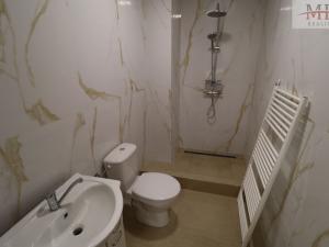 Pronájem bytu 2+kk, Teplice, Dubská, 63 m2