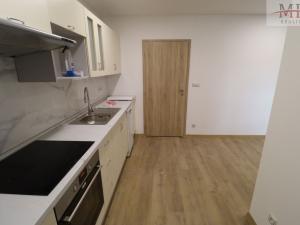 Pronájem bytu 2+kk, Teplice, Dubská, 63 m2