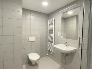 Pronájem bytu 1+kk, Olomouc, U solných mlýnů, 33 m2