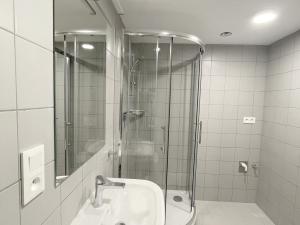 Pronájem bytu 1+kk, Olomouc, U solných mlýnů, 33 m2