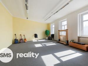 Prodej obchodního prostoru, Opava - Město, Mezi Trhy, 730 m2