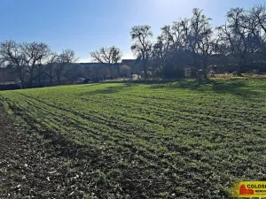 Prodej pole, Štěchov, 4979 m2