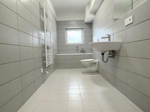 Pronájem bytu 3+kk, Olomouc, U solných mlýnů, 33 m2