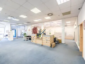 Pronájem kanceláře, Praha - Zličín, Na Radosti, 1030 m2