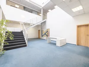 Pronájem obchodního prostoru, Praha - Zličín, Na Radosti, 1030 m2
