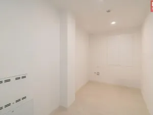 Prodej bytu 4+kk, Olomouc, Vídeňská, 211 m2