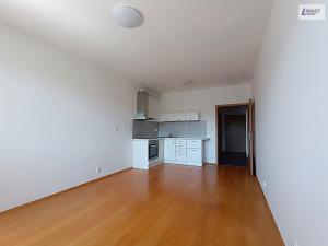 Pronájem bytu 1+kk, Praha - Motol, Jeřabinová, 30 m2