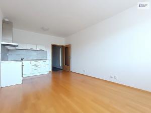 Pronájem bytu 1+kk, Praha - Motol, Jeřabinová, 30 m2