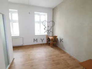 Pronájem bytu 2+kk, České Budějovice - České Budějovice 3, Riegrova, 54 m2