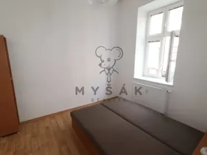 Pronájem bytu 2+kk, České Budějovice - České Budějovice 3, Riegrova, 54 m2