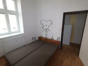 Pronájem bytu 2+kk, České Budějovice - České Budějovice 3, Riegrova, 54 m2