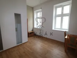 Pronájem bytu 2+kk, České Budějovice - České Budějovice 3, Riegrova, 54 m2