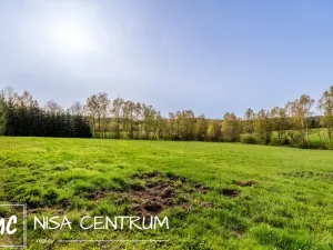 Prodej louky, Jablonec nad Nisou - Proseč nad Nisou, 10370 m2