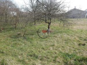 Prodej rodinného domu, Dolní Libochová, 1348 m2