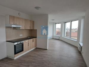 Pronájem bytu 1+kk, Plzeň, Železniční, 43 m2