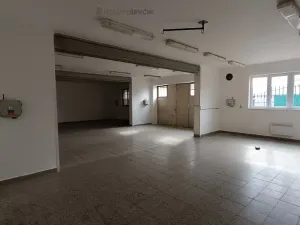 Pronájem výrobních prostor, České Budějovice - České Budějovice 2, České Vrbné, 550 m2
