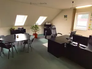 Pronájem výrobních prostor, České Budějovice - České Budějovice 2, České Vrbné, 550 m2