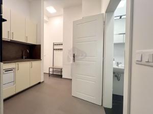 Pronájem bytu 1+1, Praha - Staré Město, Smetanovo nábřeží, 35 m2
