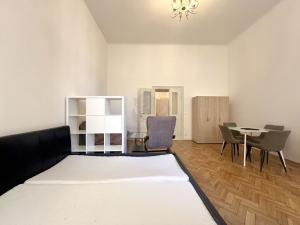 Pronájem bytu 1+1, Praha - Staré Město, Smetanovo nábřeží, 35 m2