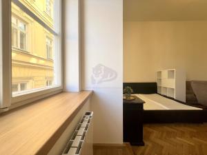 Pronájem bytu 1+1, Praha - Staré Město, Smetanovo nábřeží, 35 m2