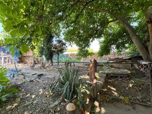 Prodej rodinného domu, Kněževes, Pražská, 261 m2