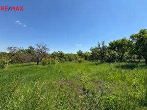 Prodej rodinného domu, Velešovice, 120 m2