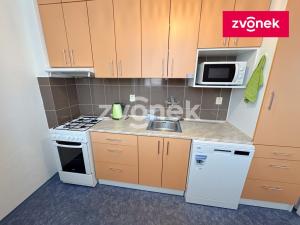 Pronájem bytu 1+1, Zlín, Dřevnická, 38 m2