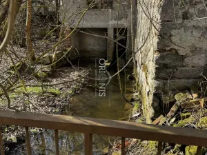 Prodej komerční nemovitosti, Dolní Cerekev, 560 m2