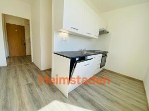Pronájem bytu 1+1, Ostrava - Hrabůvka, Cholevova, 41 m2