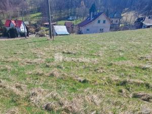 Prodej pozemku pro bydlení, Heřmanov - Fojtovice, 1263 m2