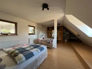 Prodej rodinného domu, Praha - Záběhlice, Dolní Chaloupky, 322 m2