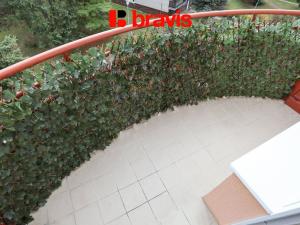 Pronájem bytu 2+1, Brno, Vyškovská, 62 m2