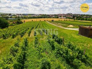 Prodej komerčního pozemku, Bořetice, 2210 m2