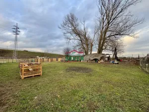 Prodej pole, Mlékojedy, 11088 m2