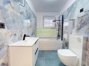 Prodej bytu 2+1, Teplice, Americká, 53 m2