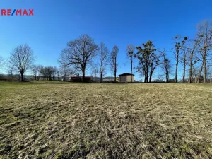 Prodej komerčního pozemku, Vražné, 6703 m2