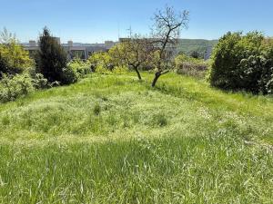 Prodej rodinného domu, Brno, Rezkova, 278 m2