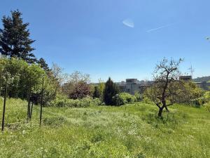 Prodej rodinného domu, Brno, Rezkova, 278 m2