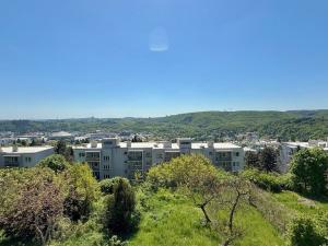 Prodej rodinného domu, Brno, Rezkova, 278 m2