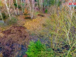 Prodej louky, Arnoltice, 6306 m2