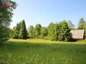 Prodej chalupy, Bartošovice v Orlických horách, 100 m2