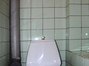 Prodej rodinného domu, Malé Březno, 140 m2