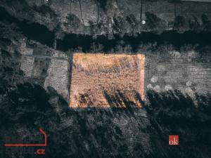 Prodej lesa, Plešnice, 4109 m2