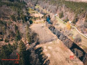 Prodej lesa, Plešnice, 4109 m2