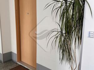 Prodej bytu 2+1, Praha - Letňany, Fryčovická, 52 m2