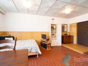 Prodej ubytování, Horní Planá, 374 m2