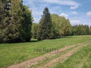 Prodej louky, Přední Výtoň, Frýdava, 23943 m2