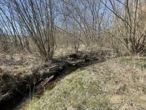 Prodej zahrady, Dlouhá Ves, 782 m2